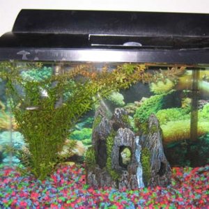 tank_001.jpg