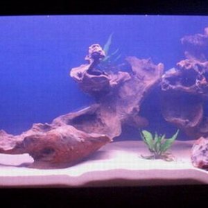tank_002.jpg