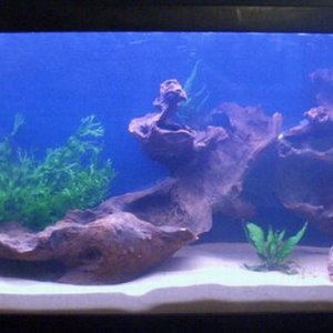 tank_001.jpg
