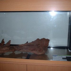 DSCF0033.JPG