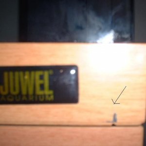 DSCF0035.JPG