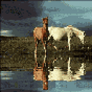 horses2.gif
