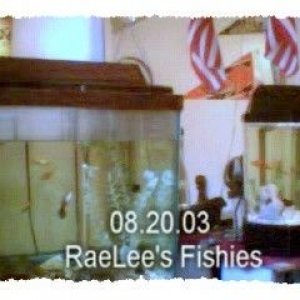 08.20.03_RaeLee_s_Fishies.JPG