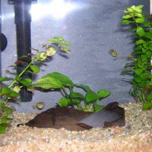 DSCN1218.jpg