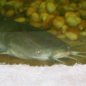 CNV00060.JPG
