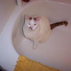 Squinty.JPG