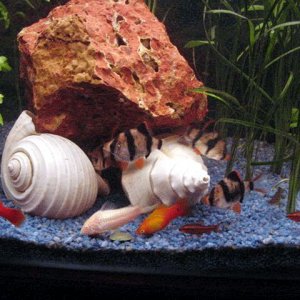 family_portrait.jpg