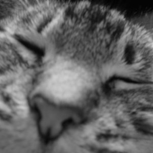 whiskey3.JPG