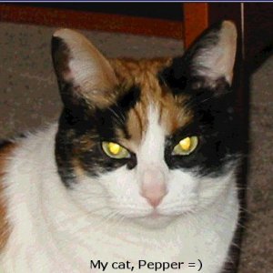 PepperHead.jpg