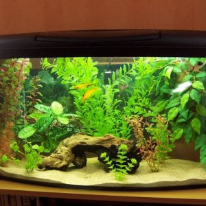 26gallon.JPG