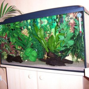 30gallon.JPG