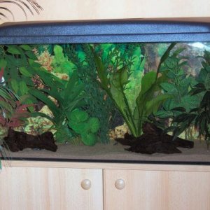 30gallon2.JPG