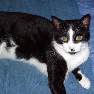 frankie1.JPG