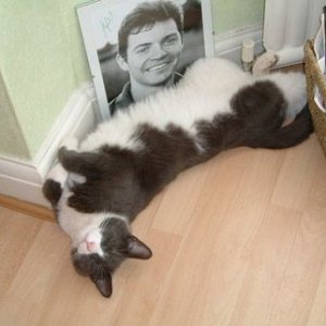 kittysleeping.jpg