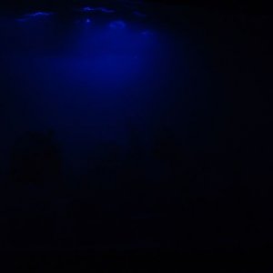 moonlighting_004.jpg