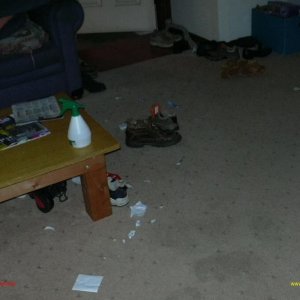 DSCN0025.jpg