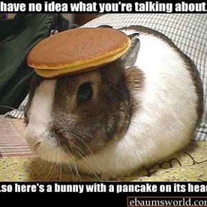 bunny_pancake.jpg