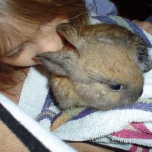 bunz.jpg