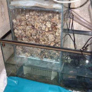 sump.jpg