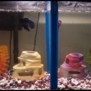 tank2.jpg