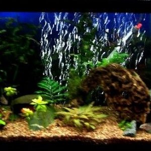 55G.jpg