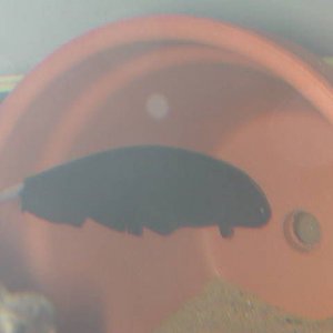 DSCN4021.JPG