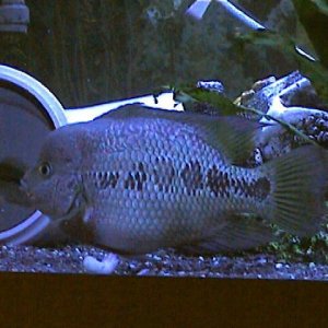 Picture_025.jpg