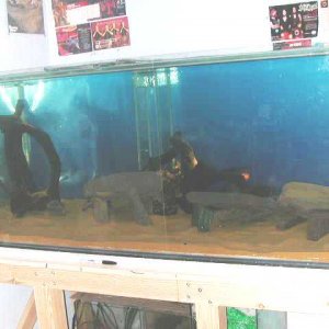 DSCN4063.JPG