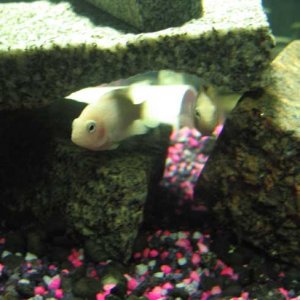IMG_1135.jpg