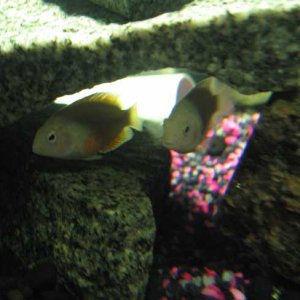 IMG_1139.jpg