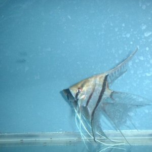 DSCF0640.JPG