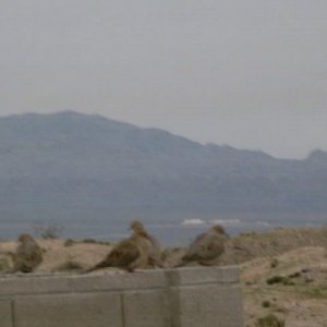 SCV_0012.JPG