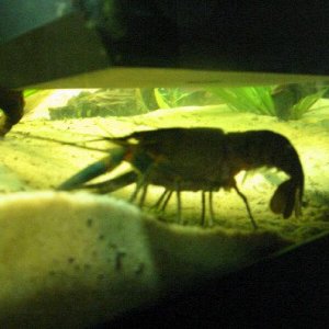Picture_013.jpg