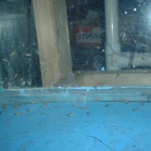 DSCF0694.JPG