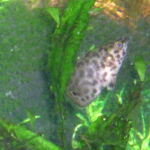 Ajb4_018.jpg