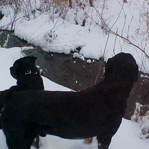 ben_and_rox_at_the_creek.jpg
