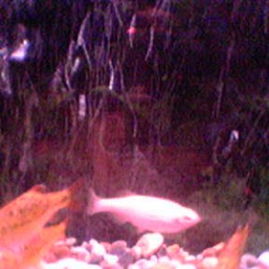 05011404.JPG