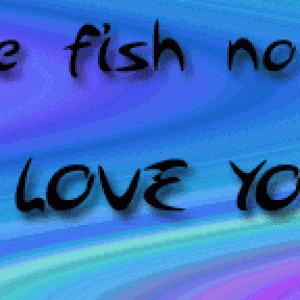 loveyourbettabumper.gif