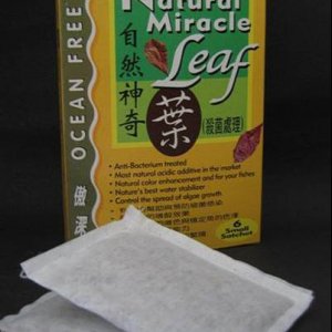 miracleleaf.jpg