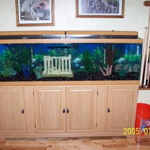 100_0435.JPG