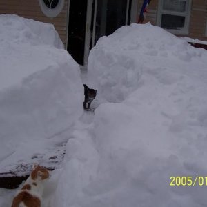 smaller_1.JPG