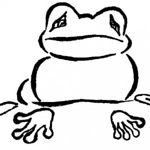 frog.jpg