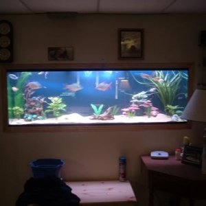 full_Tank_011.jpg