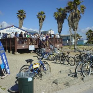 bar_on_beach.jpg