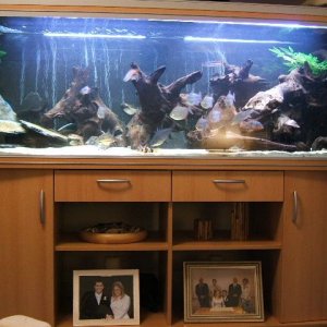 Pic_4.jpg