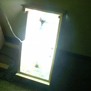 IMAG0006.JPG