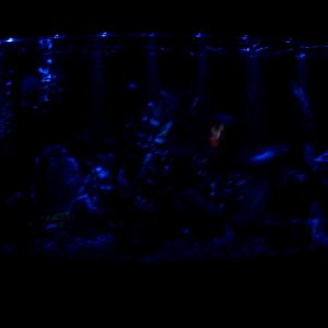 moonlight1.JPG