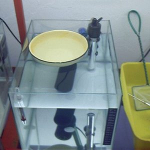 IMAG0010.JPG