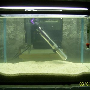 Reef1.JPG