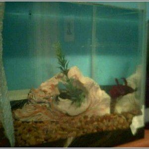 right_side_of_tank.jpg